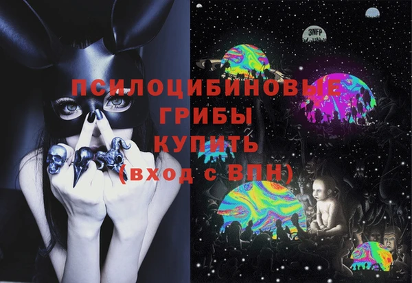 соль ск Алзамай