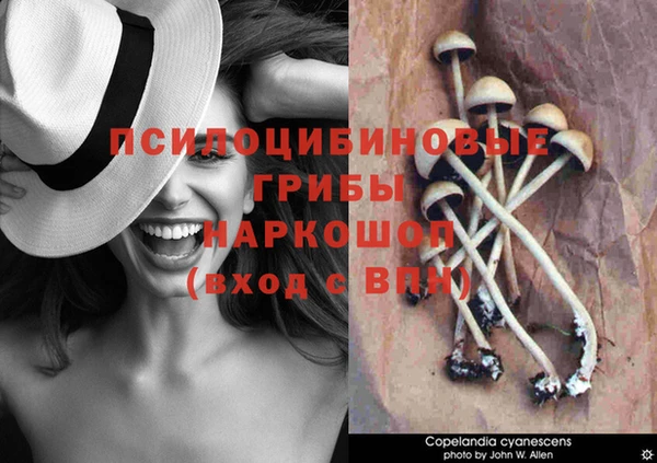 стаф Алексеевка