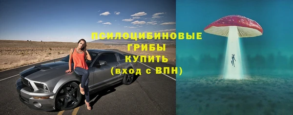 стаф Алексеевка