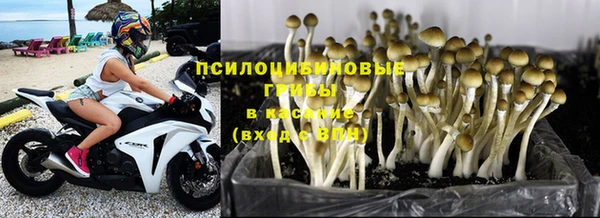 соль ск Алзамай