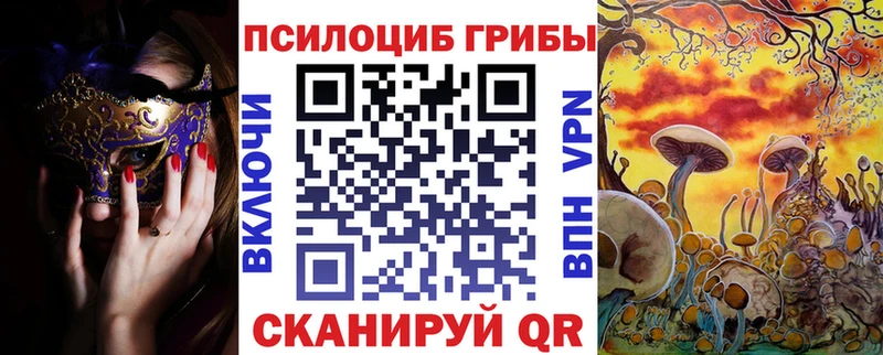 Галлюциногенные грибы Cubensis  сколько стоит  Звенигово 